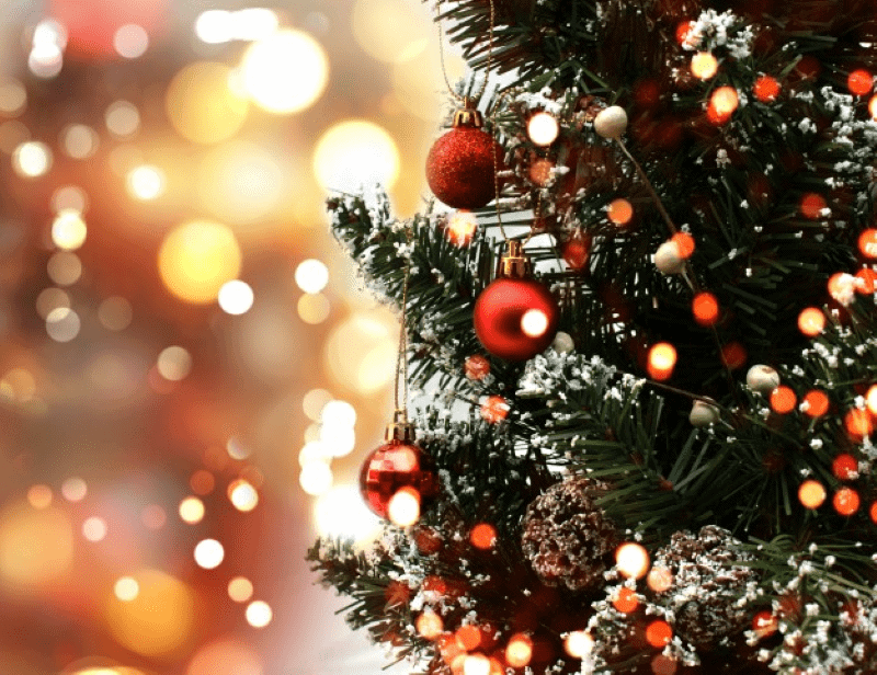 Top 11 facts about Christmas trees that may knock your socks off