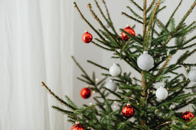 Affordable Christmas Trees for a Joyful Celebration